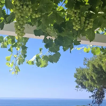 Mare Dubrovnik